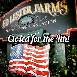 Ed Lester Farms would like wish everyone a safe and happy 4th of July!

We'll be spending the day with friends and family!

We will see y'all tomorrow!